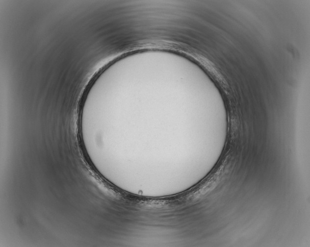 X0000112040846200908311234
