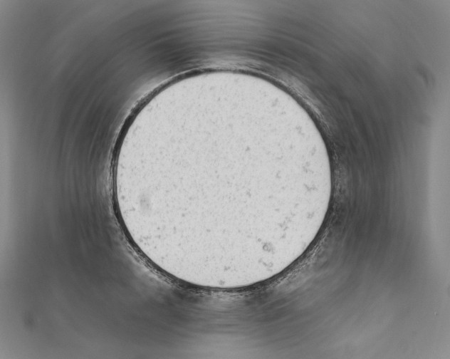 X0000112040848200908311234