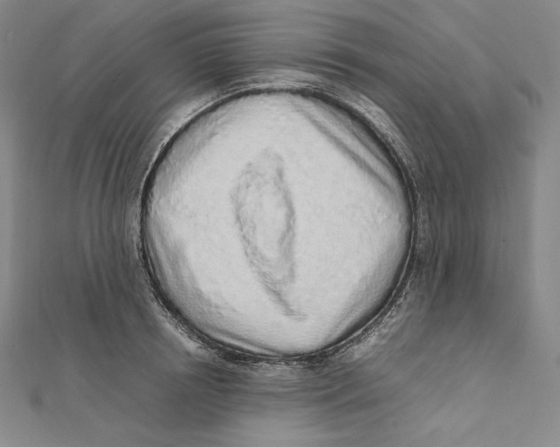 X0000112040850200908311234