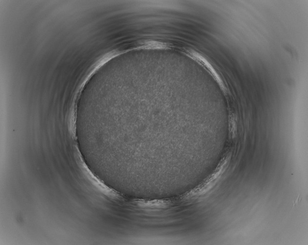 X0000112040851200908311234