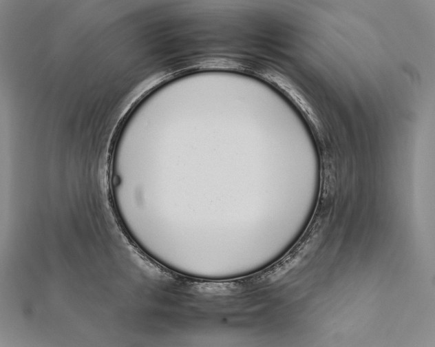 X0000112040853200908311234