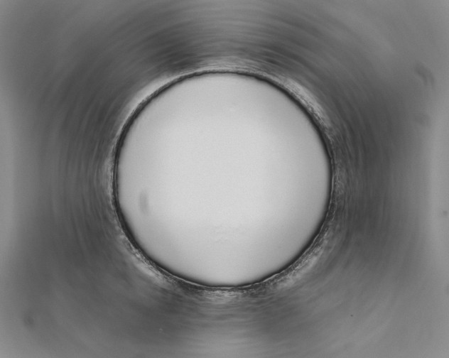 X0000112040854200908311234