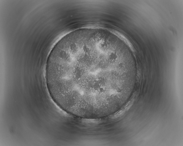 X0000112040855200908311234