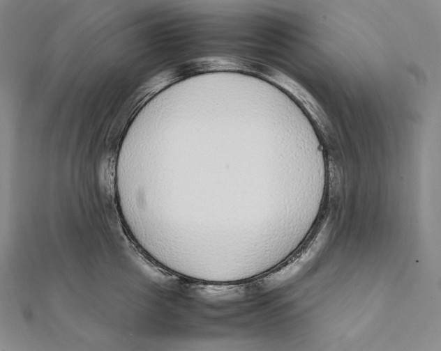 X0000112040857200908311234