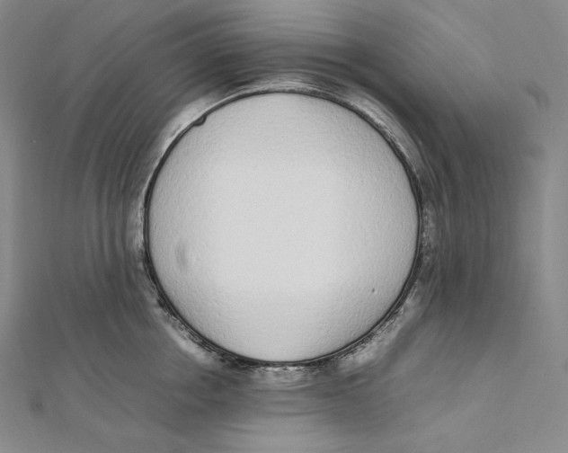 X0000112040858200908311234