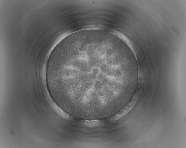 X0000112040859200908311234