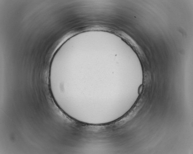 X0000112040860200908311234