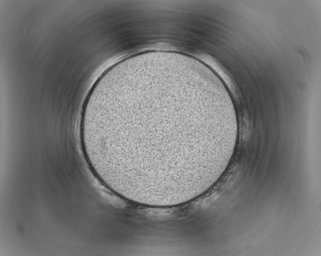 X0000112040861200908311234
