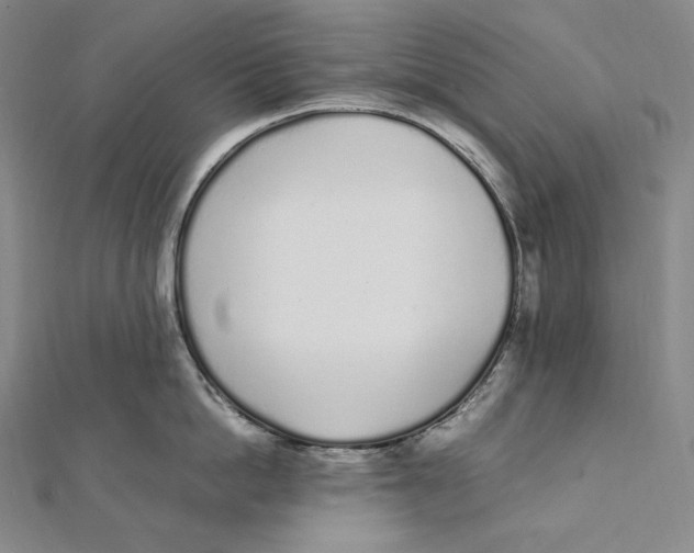 X0000112040862200908311234