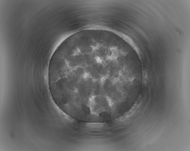 X0000112040863200908311234