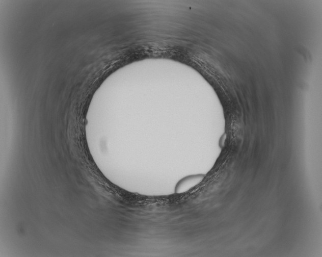 X0000112040865200908311234