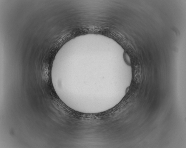 X0000112040866200908311234
