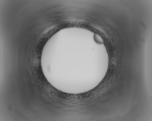 X0000112040869200908311234