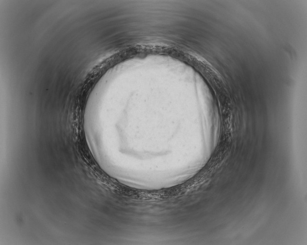 X0000112040870200908311234