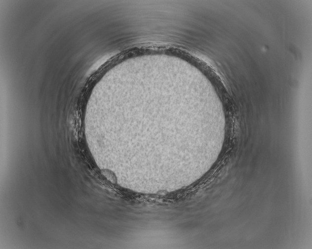 X0000112040871200908311234