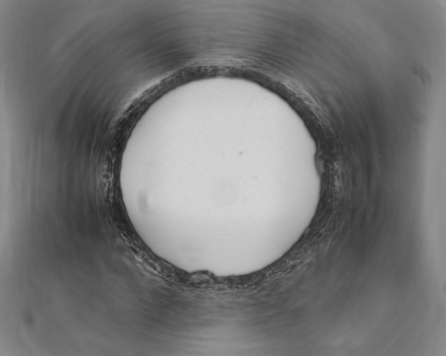 X0000112040872200908311234