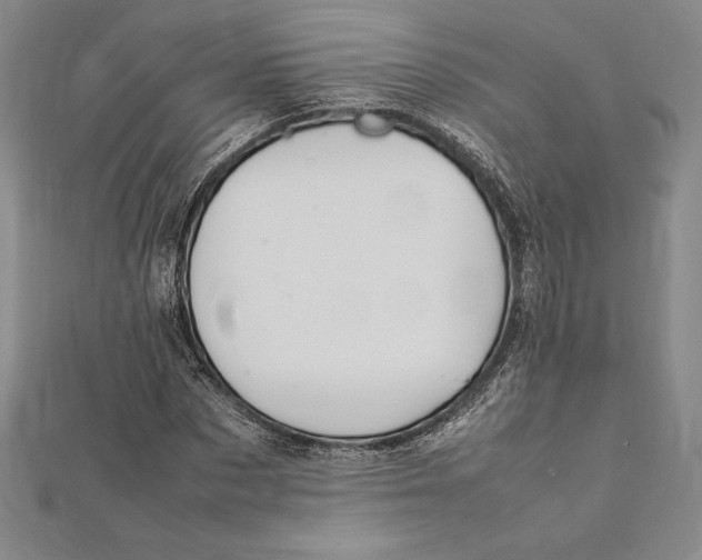 X0000112040873200908311234