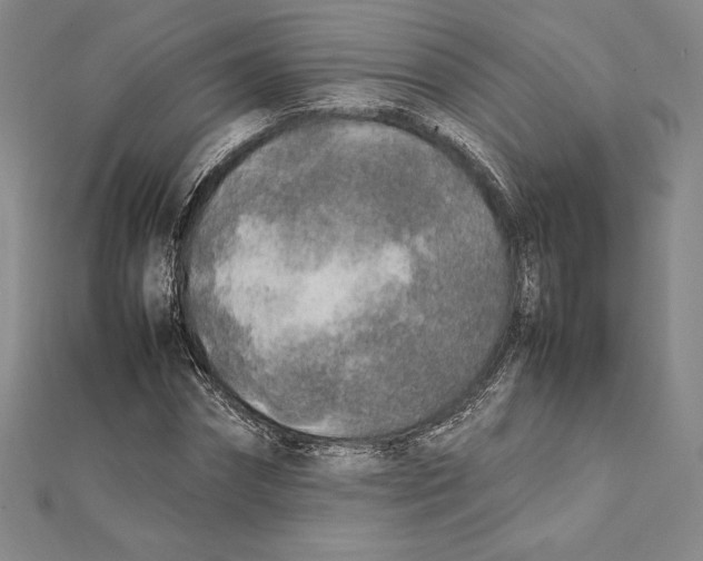 X0000112040874200908311234