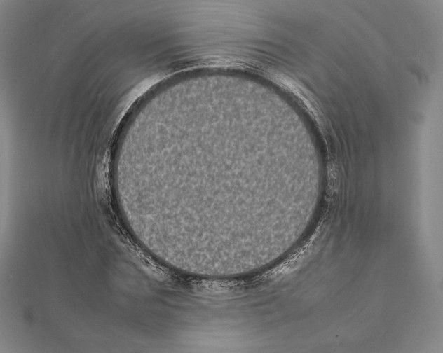 X0000112040875200908311234