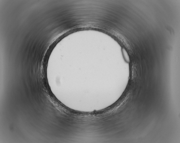 X0000112040876200908311234