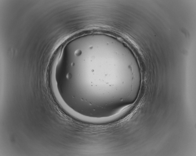 X0000112040877200908311234