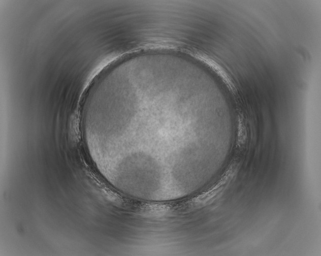 X0000112040878200908311234