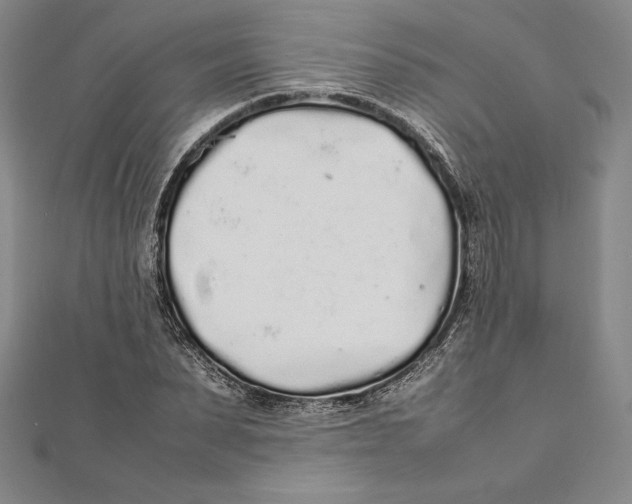 X0000112040879200908311234