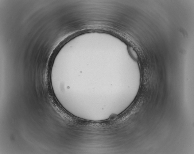 X0000112040880200908311234