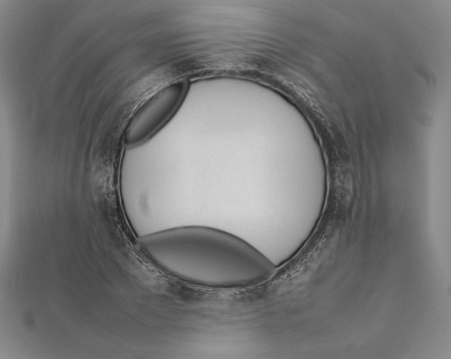 X0000112040881200908311234