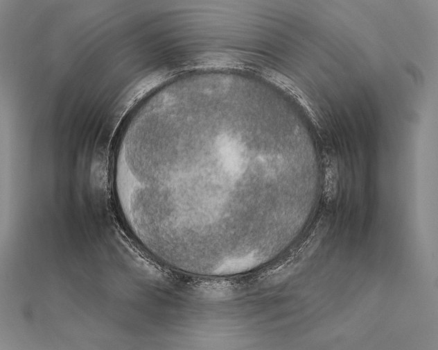 X0000112040882200908311234