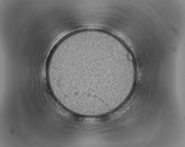 X0000112040883200908311234