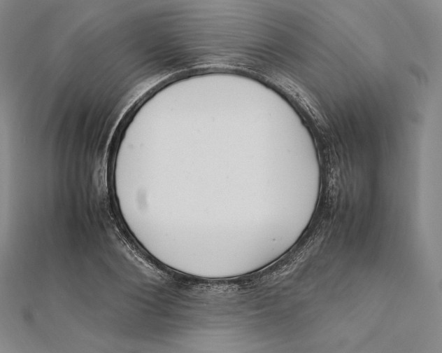 X0000112040884200908311234