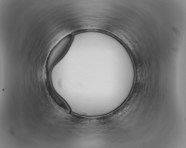X0000112040885200908311234