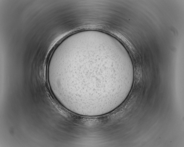 X0000112040886200908311234