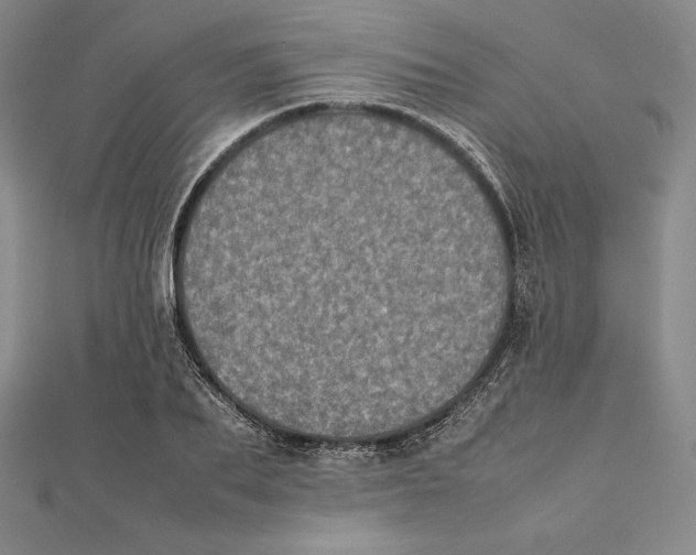 X0000112040887200908311234