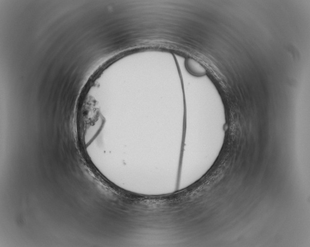 X0000112040888200908311234