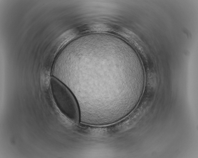 X0000112040889200908311234