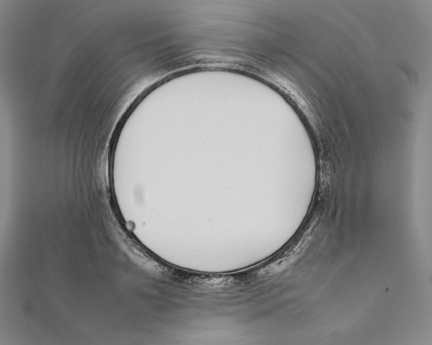 X0000112040891200908311233