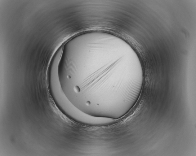 X0000112040892200908311233