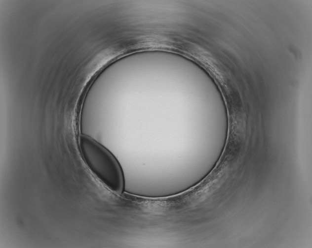 X0000112040893200908311233