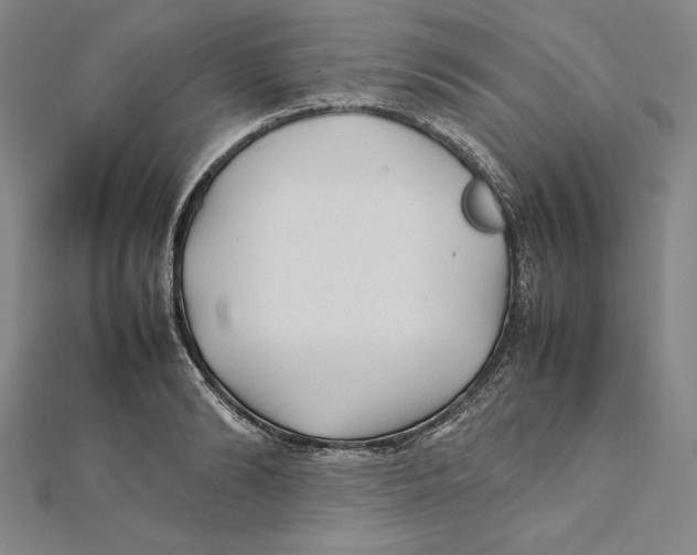 X0000112040894200908311233