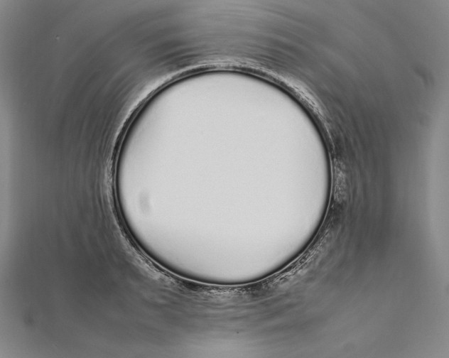 X0000112040895200908311233
