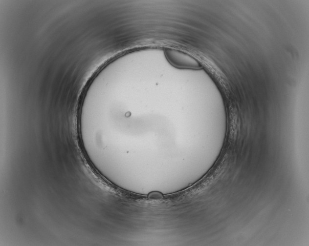 X0000112040896200908311233