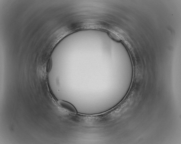 X0000112040897200908311233