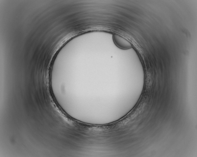 X0000112040898200908311233