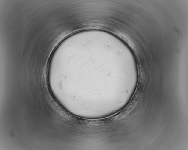 X0000112040899200908311233