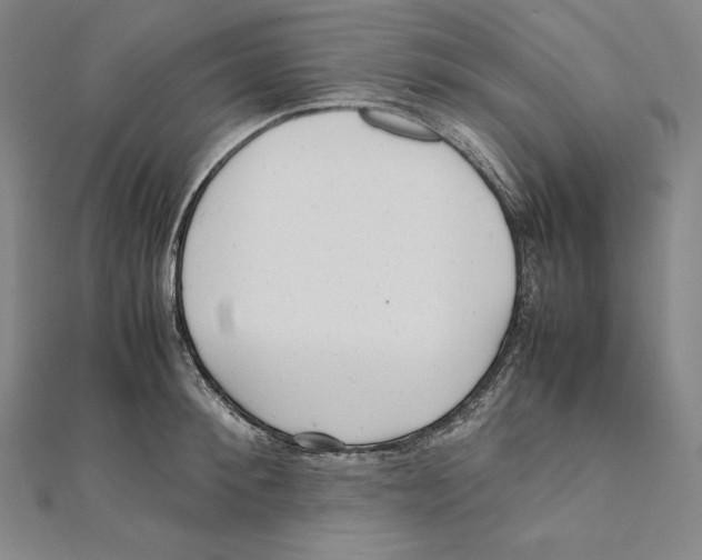 X0000112040900200908311233