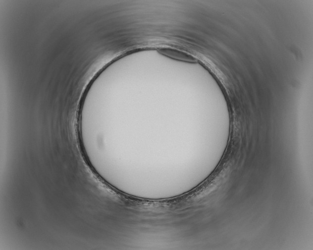 X0000112040901200908311233
