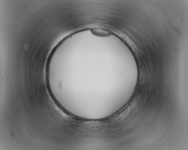 X0000112040902200908311233