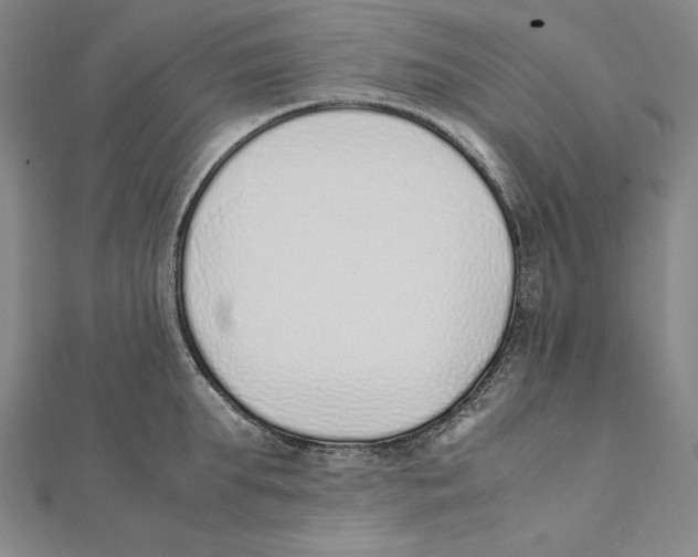 X0000112040903200908311233